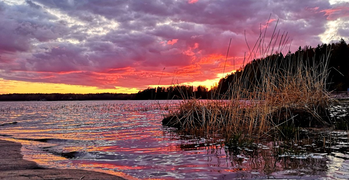 Nature, La passion #Helsinki #Finland #photography #StormHour #travel #nature #photograph #landscape #sunset #clouds #sky #weather #TuesdayMotivation #TuesdayThoughts #colours #BeSafe