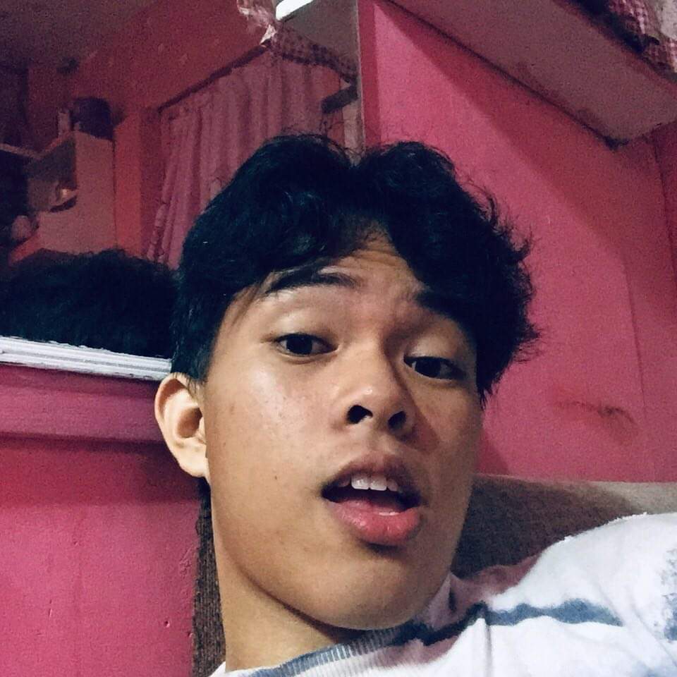 Prynsipeeee's tweet image. wip.