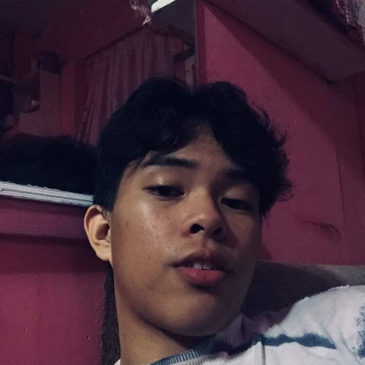 Prynsipeeee's tweet image. wip.