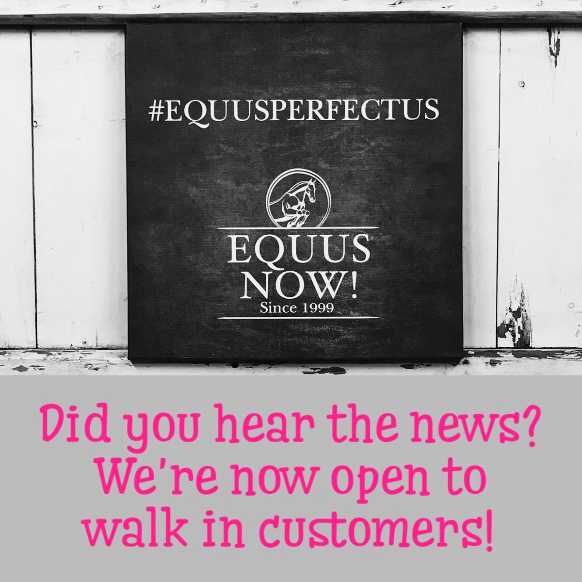 EquusNow's tweet photo. We are now open to walk ins at all locations. Can’t wait to see you soon! 💕 https://t.co/0ktUctCD4u