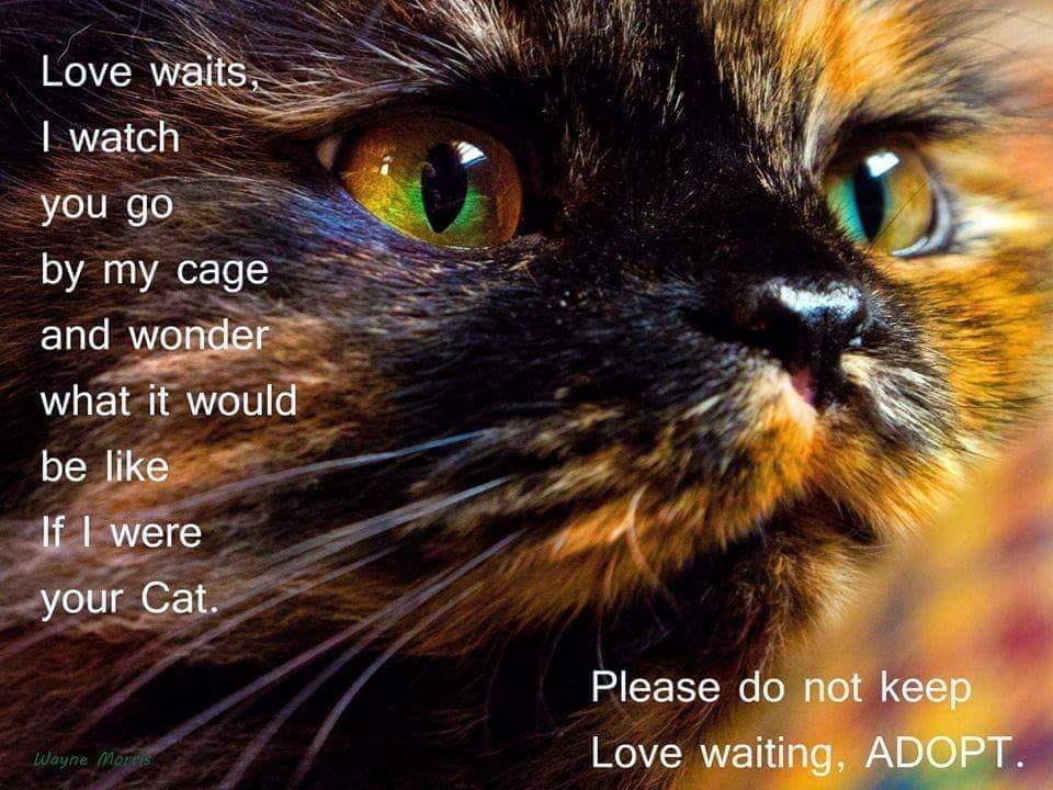 Peter Askin (@peteraskin1) on Twitter photo 