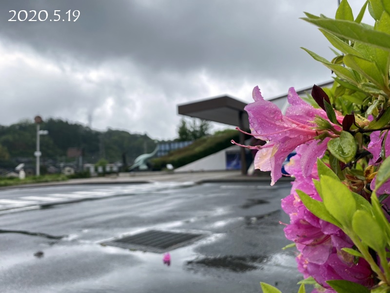 天気 いわき の