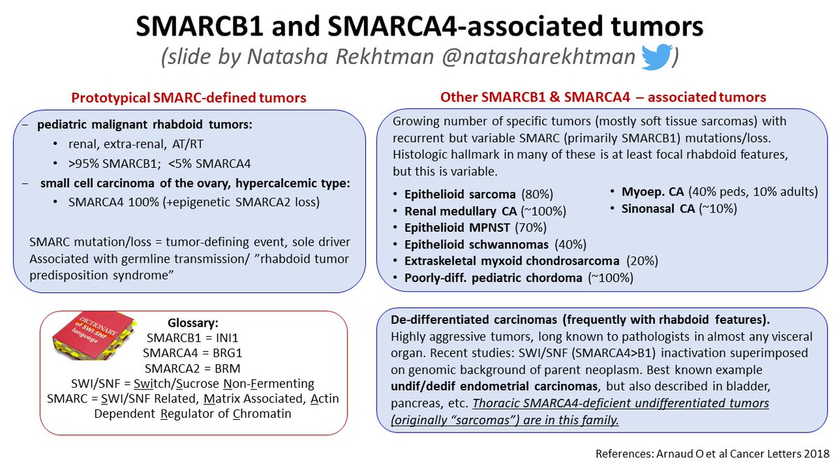 natasharekhtman's tweet photo. 3⃣ For pathologists, this family houses several super-useful diagnostic markers, which are either pathognomonic or strongly associated with specific entities. Here is a summary from my talks: https://t.co/Cji0BFbbxo