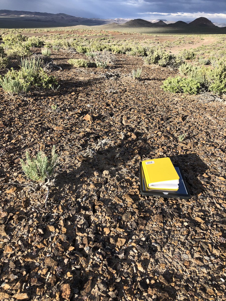 Small but mighty, this Mw 6.5 ruptured some of the best desert pavement I’ve seen outside of (sorta) nearby Panamint Valley. What’s underneath the pavement, you might ask..?