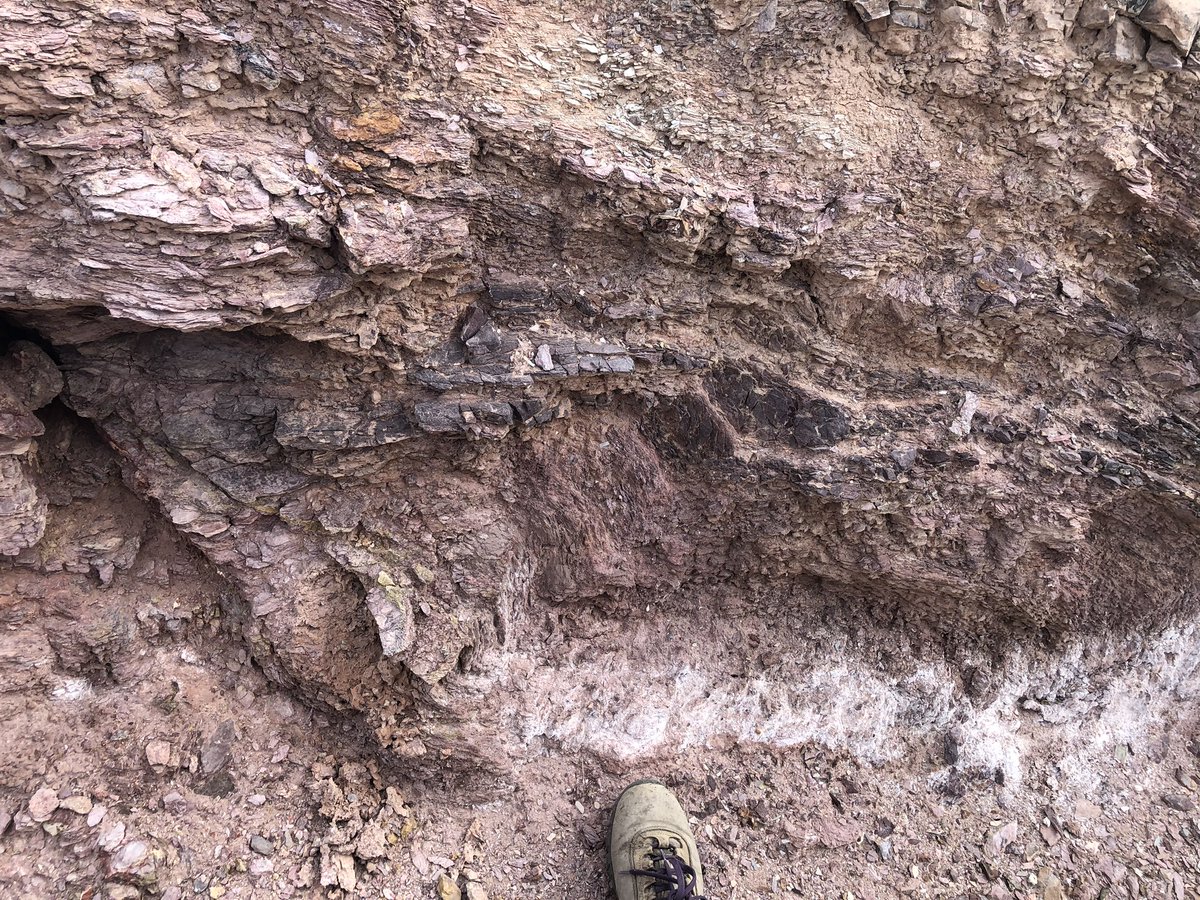 Oh, just casually faulted to bits bedrock. We found a mining test pit near some of the surface rupture, and we ooed and aahed (Ali Pickering and my toe for scale)