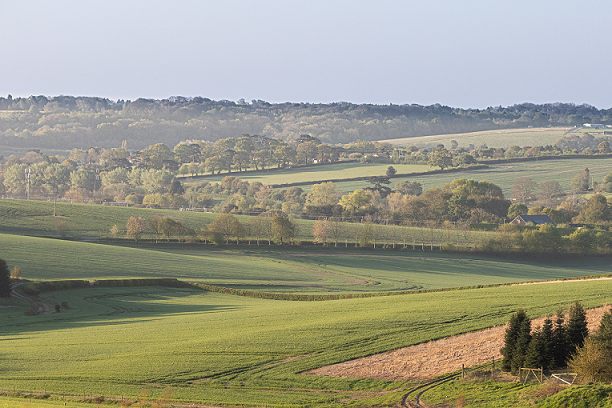 ChilternSociety's tweet photo. Did you know that it's #MentalHealthAwarenessWeek? It's never been more important to keep in touch with #nature to support our #wellbeing. Spending time in nature improves your mood, reduce stress, anxiety, heart rate and muscle tension. https://t.co/DD8N03dUUH
