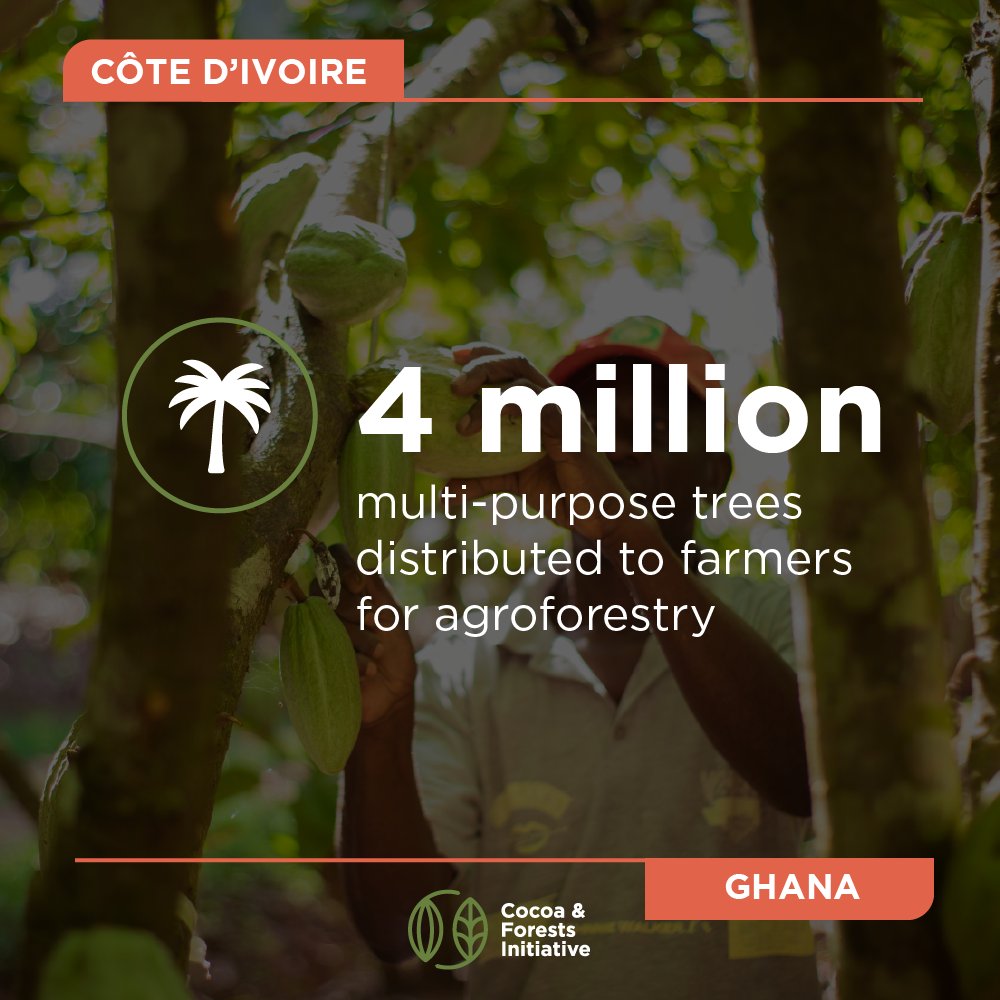 More than 4 million trees were distributed to #cocoa farmers in Côte d'Ivoire and Ghana to support agroforestry &amp; reforestation efforts under the #CocoaAndForests Initiative. Learn more in this progress report: worldcocoafoundation.org/initiative/coc… #SustainableCocoa