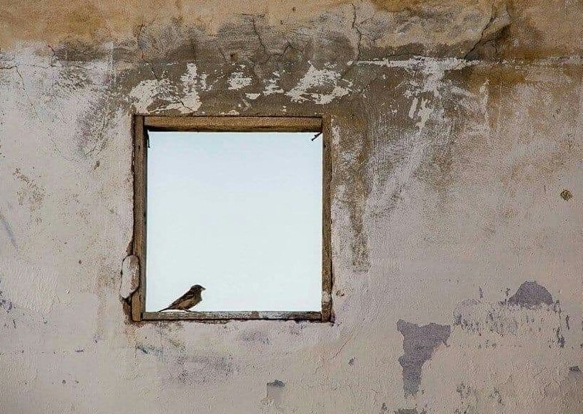 #مرزوقه_مليون_لايك

_ هل ليّ بحظٍ كبير ... !
_ نعم 
_ أحسن التدبير 
_ إتكلها على الواحد القدير

                   #سعود