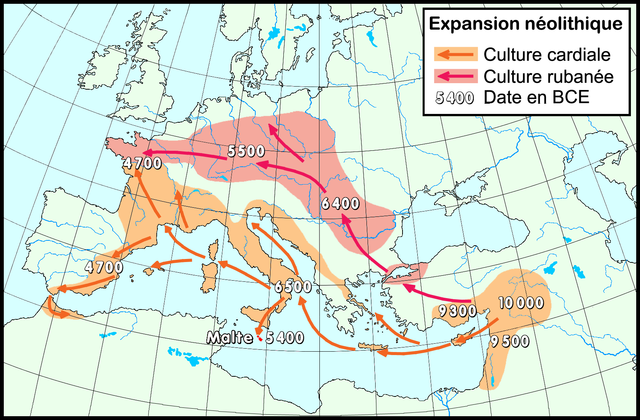 But while farming spread onwards in the following millennia - both around the Mediterranean coasts and up through the Balkans to central Europe - the mice, it seems, did not. 4/23