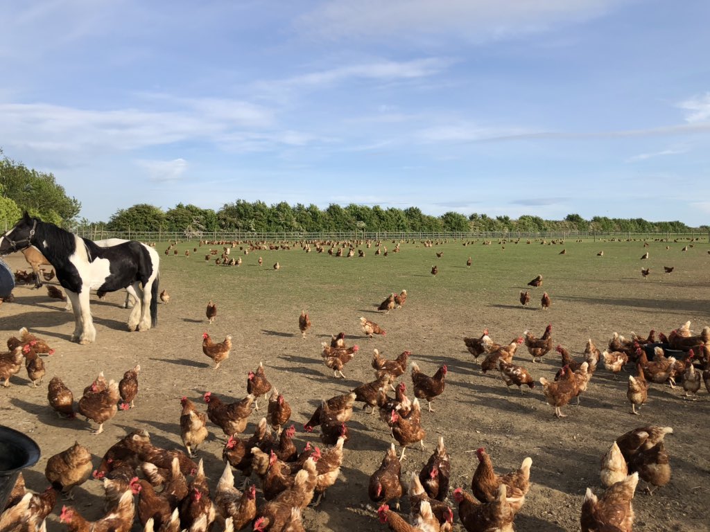 Lots of girls out last night