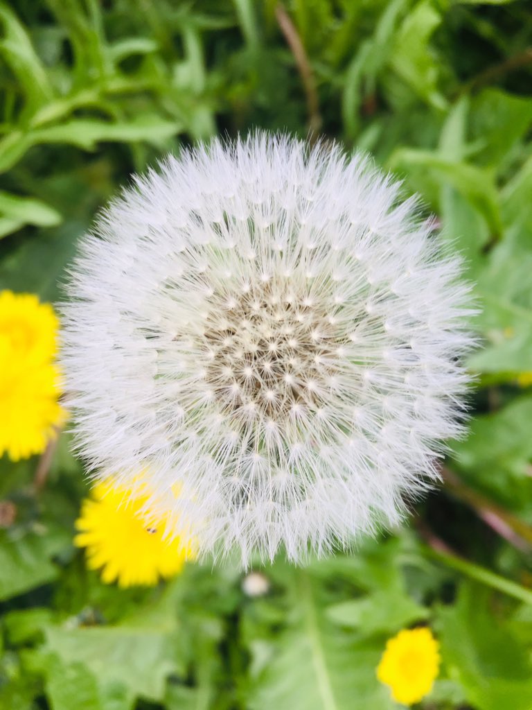 #Natural #PictureOfTheDay  #photography