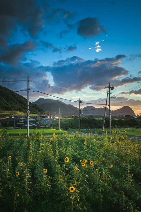 Twitter ノスタルジックな写真が素敵な写真家6選 青春の匂いがする 北海道フォト