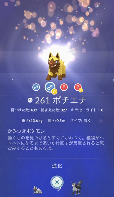 ポケモンgo スポットライトアワーでポチエナが大量出現 色違いのポチエナも 5 19 Momo Blog