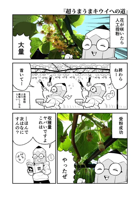 5月のキウイ日記。仕方ないとわかっちゃいるけど…やっぱつれぇわ。 #園芸 