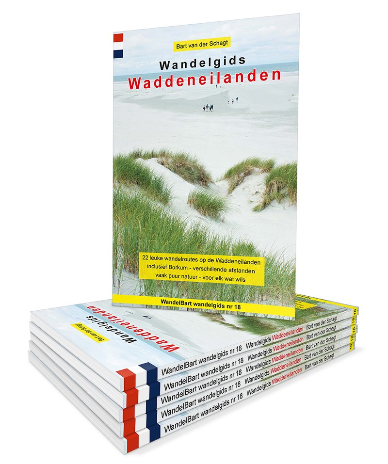 Bart van der Schagt tweet media