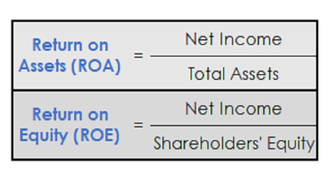 Let me show you the two profitability measures, ROA and ROE. The S&P 500’s ROA is 2.82%, not much different from the Nikkei’s 2.53%. One way to get ROE higher is to take on more debt…