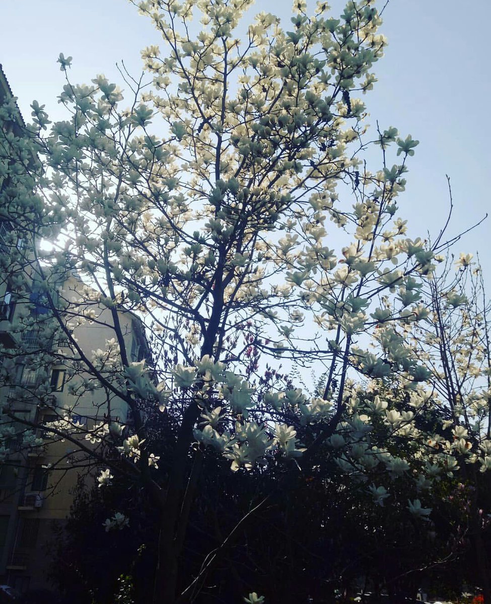 oldjaakai1's tweet photo. (With a filter from Instagram) 🤔 https://t.co/DVRUyQktqy