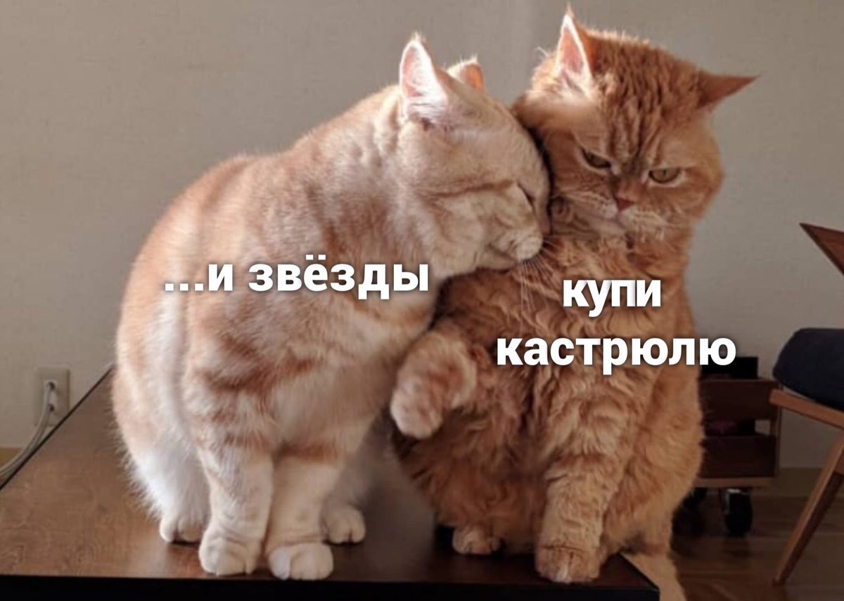 Пьяный Твиттер tweet media