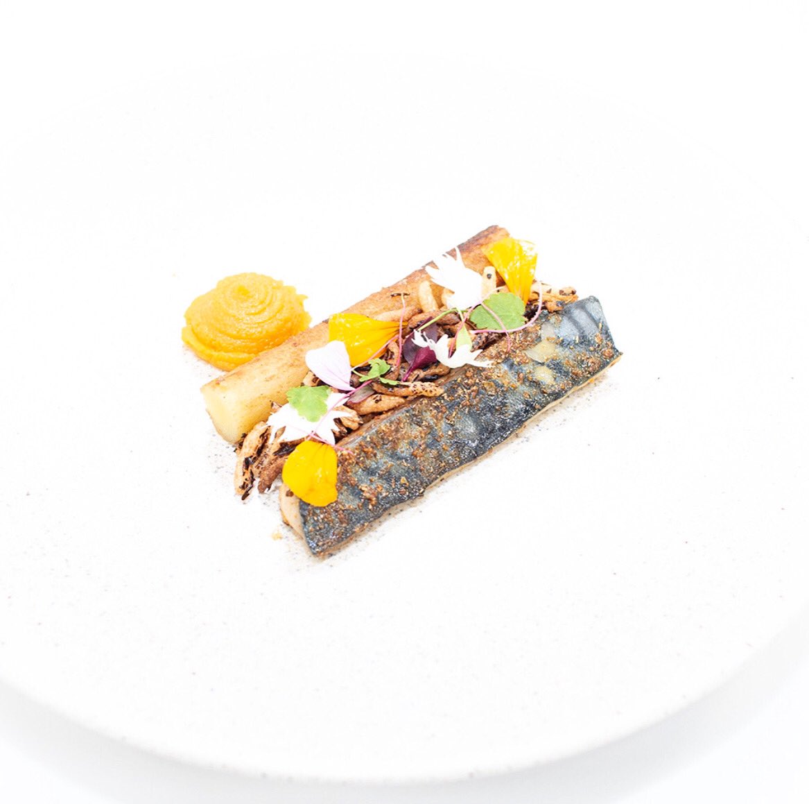 #TuesdayMotivation 
Jerk mackerel, Yam fondant, puffed wild rice &amp; caramelised pumpkin by <a href="/cockney_chef/">Stephen McClarty</a> with edible flowers from @westlandsuk 
Photographed at @LDNKitchenSoc 

<a href="/DPbespokedining/">David Pigram</a> @jameschef24 <a href="/ByChefJen/">Chef Jen</a> <a href="/jason_mccrellis/">Jason McCrellis</a> <a href="/Hayden1974/">Hayden Groves👨‍🍳🚴</a> <a href="/youngrisotto/">Young Risotto Chef</a> <a href="/northfoodfest/">northern food and drink virtual festival</a> <a href="/RBWR/">Robert Richardson FIH MI</a>