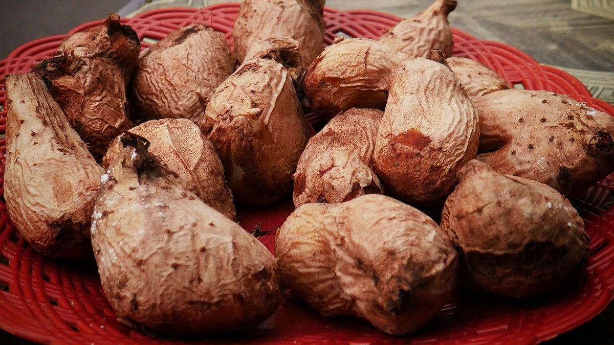 Sopo sing durung tau mangan #Gembili?

Siapa yang belum pernah makan #Gembolo?

Kemarilah, disini bisa kau makan sekenyang perutmu!