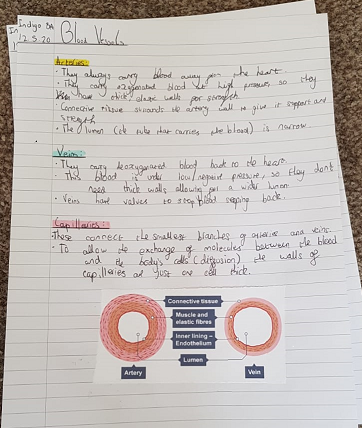 mirfieldfree's tweet photo. Our incredible students astonish us every day. Our Science team have been particularly impressed by Indigo in Yr 8, who has been producing amazing work to a really high standard every week. This is some of the incredible work Indigo has been sending. Great work, keep it up! https://t.co/M9UQxjxAhF