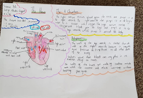 mirfieldfree's tweet photo. Our incredible students astonish us every day. Our Science team have been particularly impressed by Indigo in Yr 8, who has been producing amazing work to a really high standard every week. This is some of the incredible work Indigo has been sending. Great work, keep it up! https://t.co/M9UQxjxAhF