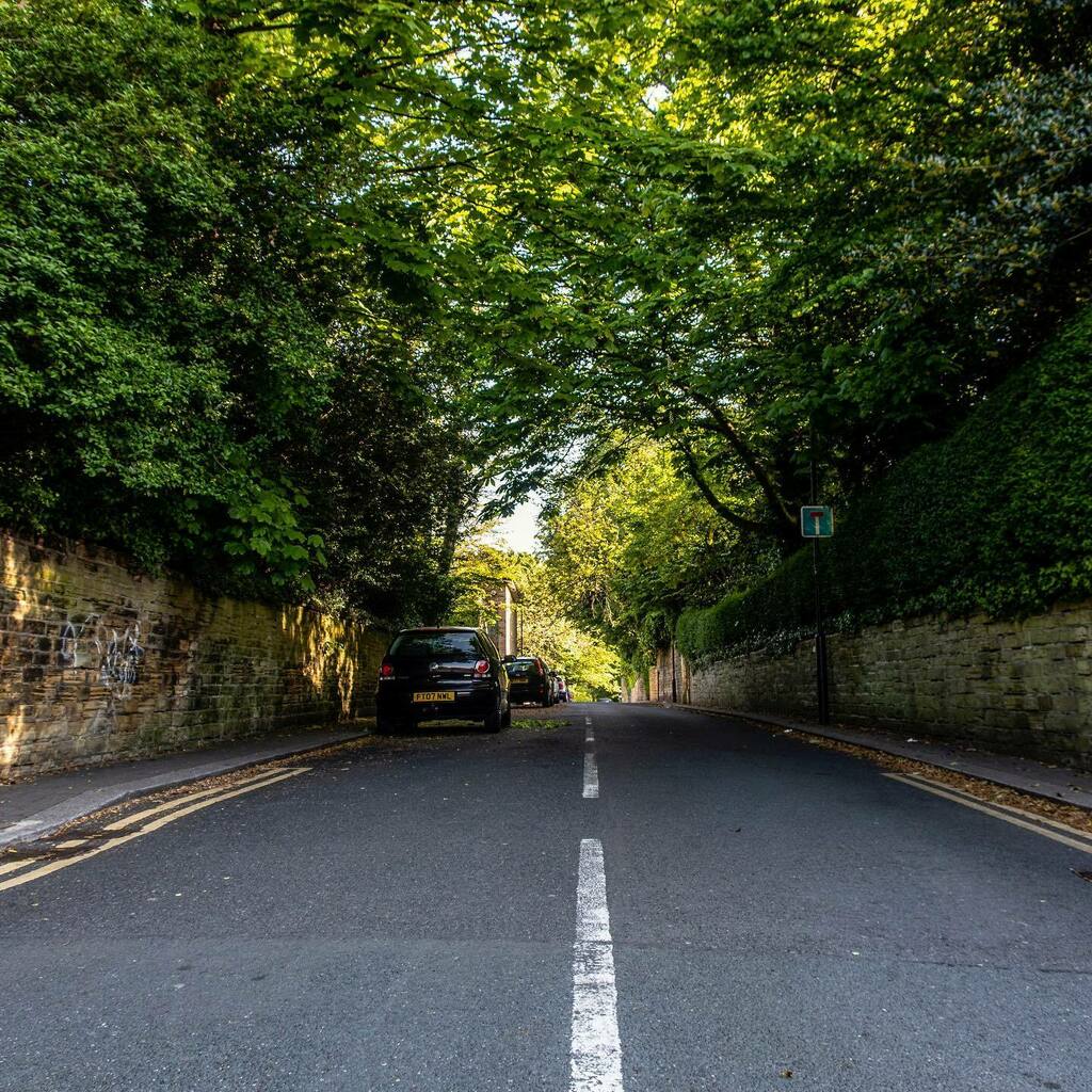 RadioAndrewE's tweet photo. The road ahead 4): off Otley Road, Headingley, Leeds (7/5/20)
.
.
.
#headingley #hydeparkleeds #otleyroad #leeds #urbanlandscape #landscape #landscapeslovers #landscape_captures #treephotography #road #dailyexercise #lightandshadow #contrast #lightatthee… https://t.co/j6xYgTIcsO https://t.co/DvTwc6uh6M