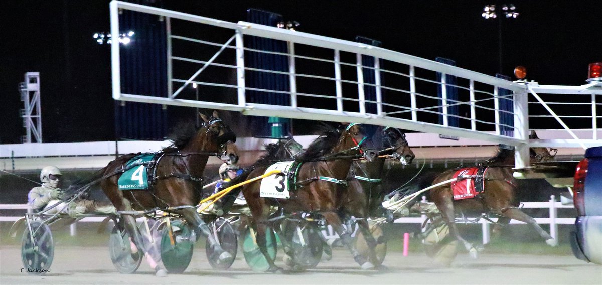 hoosiernations's tweet photo. 10 qualifiers today @HoP_Racing 
ISS champion #TjsTopPick race 6 pp4
Post time 12:00 watch replays later at Hoosier Park AV on You Tube https://t.co/bmjnIXDICP

Time to gear up &amp; get ready for action! https://t.co/eIuRyDKtYC