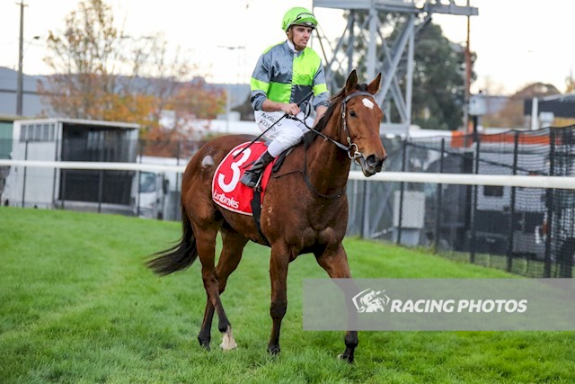 vicbreeders's tweet photo. COWLEY’S CREEK wins at Moe today for trainer Patrick Payne and jockey Billy Egan. Bred in Victoria A Rylance Cowley's Creek (GLASS HARMONIUM) gets an overdue victory after a few placings. Well done to all involved! https://t.co/1c7rJnsVK5