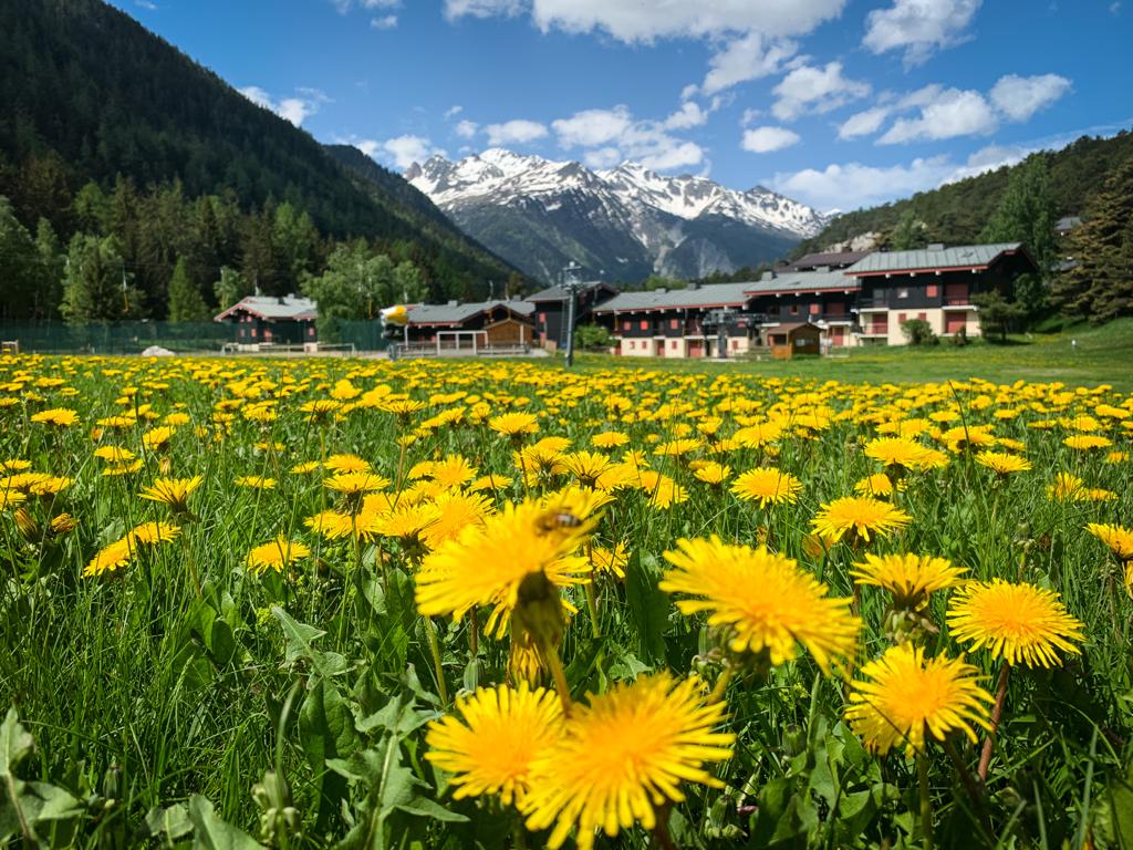 La Norma tweet media