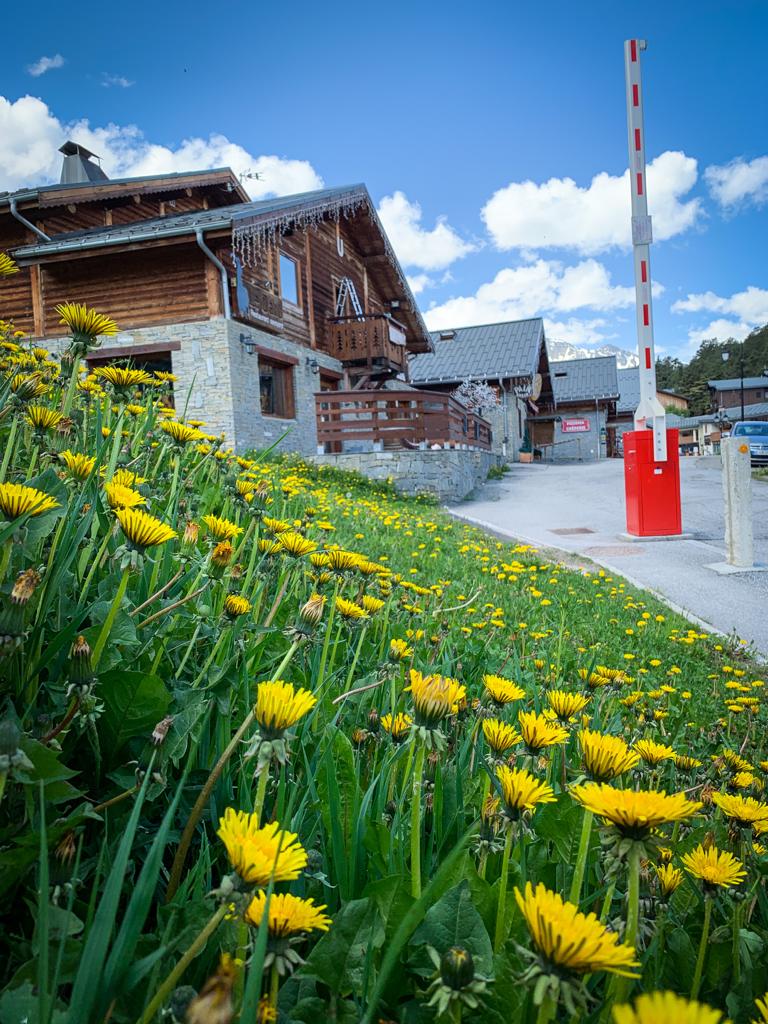 La Norma tweet media