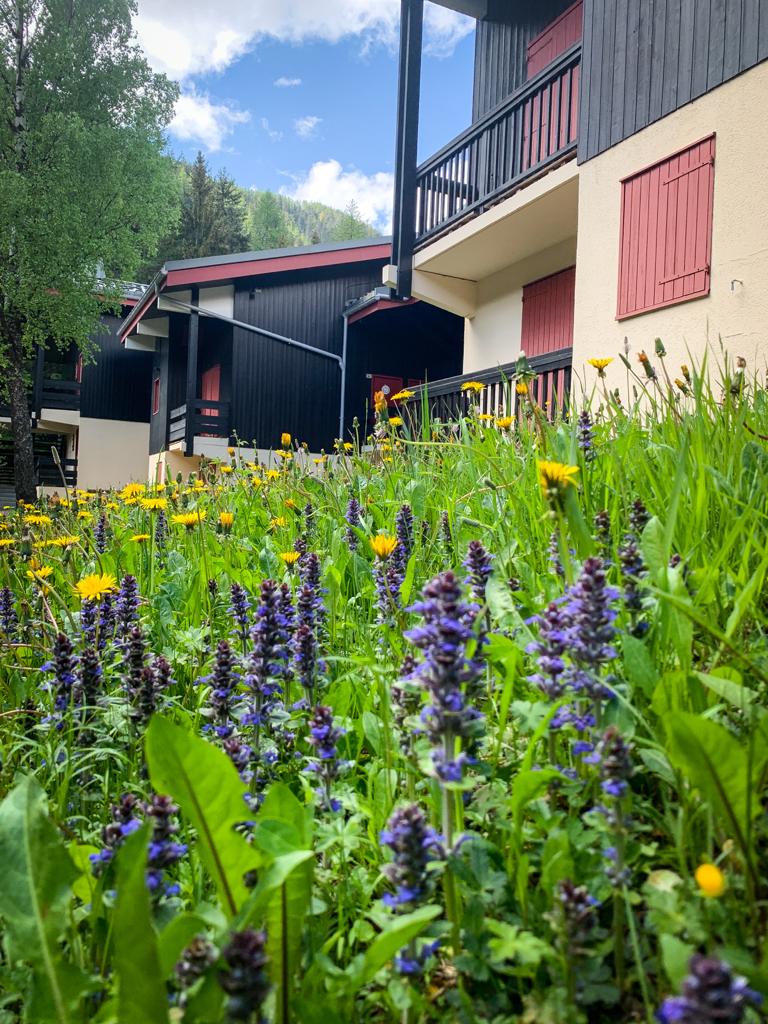 Le printemps est en place 💖🌼🏵️