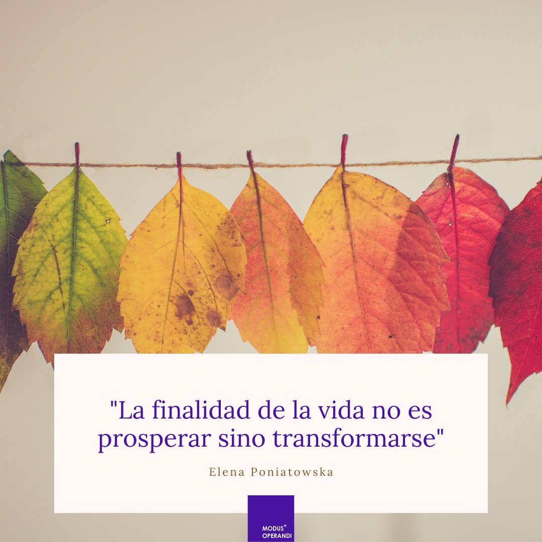 Modus Operandi. Arte y cultura tweet media