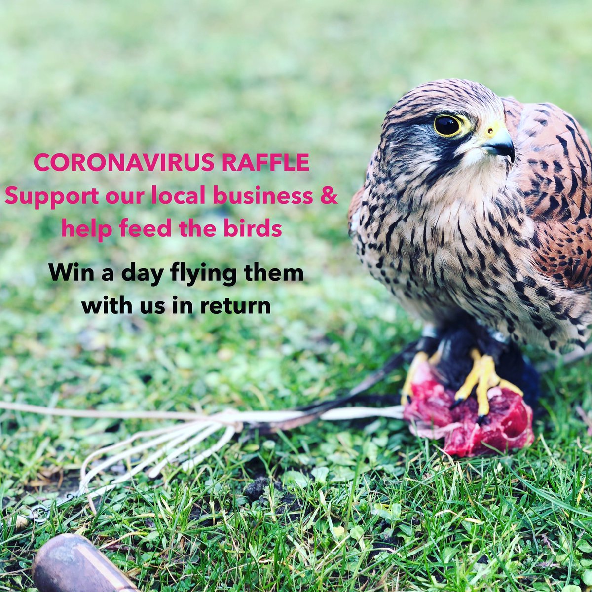 Coronavirus Raffle!

We aren't a charity &amp; don't ask for donations but we still have bills to pay and birds to feed. 🦅 

To help keep our birds fed why not join our raffle. 
Only £5 for 4 hours with us.
LUNCH INCLUDED 🥪

Bargain

Enter here - fensfalconry.co.uk