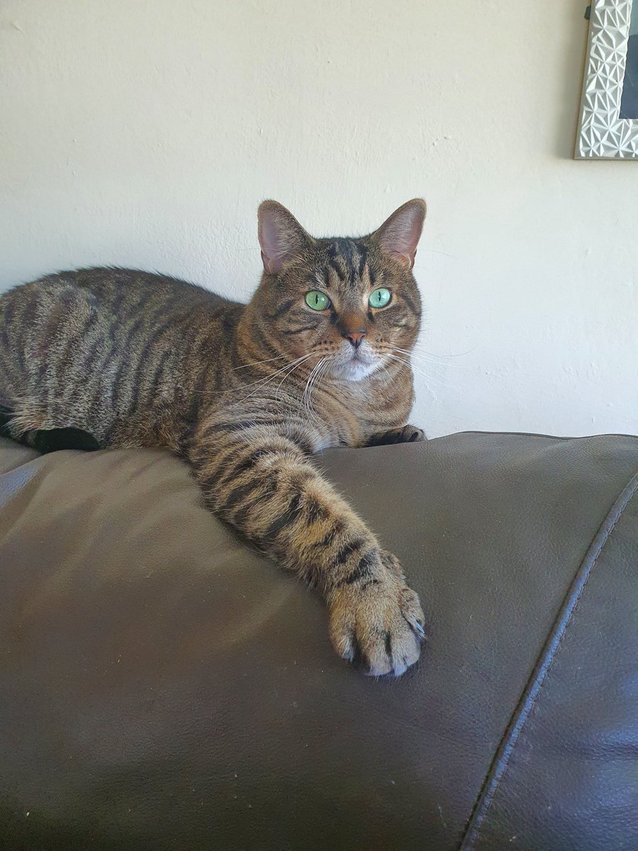 alichenn's tweet image. My handsome boy