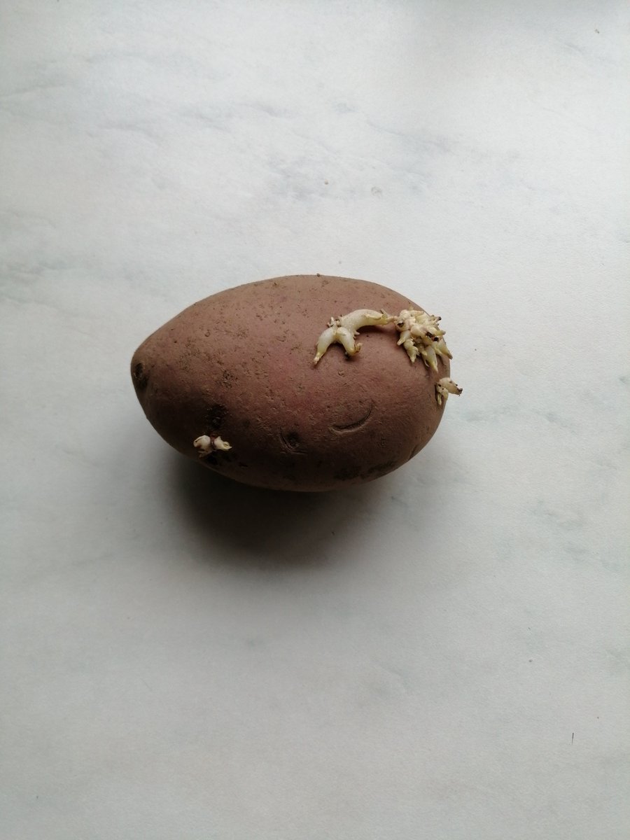 I threatened this tattie with a peeler and now its pure chitting itself! #badpun