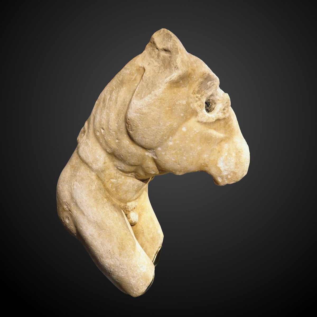 Un des maîtres en la matière se nomme Myron, sculpteur au Ve s. av. n. è. en Grèce. Avec une vache et une vieille ivrogne de Smyrne, son autre oeuvre fameuse est "Le Discobole", dont une réplique romaine en marbre de Paros se trouve au MSR  @photos_floues /  @WikiCommons