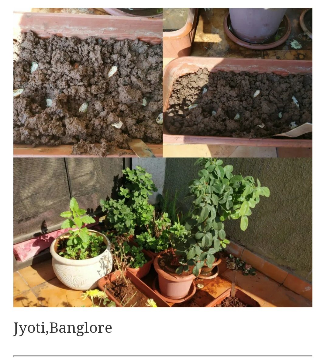 𝙨𝙞𝙢𝙥𝙡𝙚 𝙜𝙚𝙨𝙩𝙪𝙧𝙚𝙨 𝙝𝙖𝙫𝙚 𝙖 𝙗𝙞𝙜 𝙞𝙢𝙥𝙖𝙘𝙩.      ⋆                          ⋆          ⋆                            By: jyoti. BangloreNaz. karlaBirwa. Gujarati