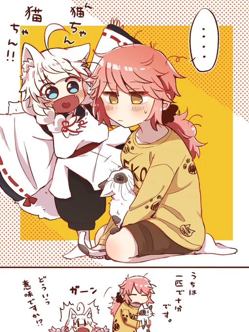 🦊🐾🐱 