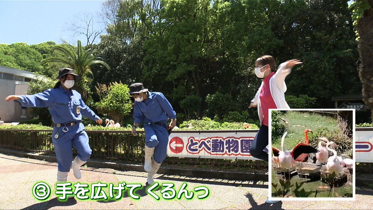 動物エクササイズ Twitter Search 動物エクササイズ Twitter Search