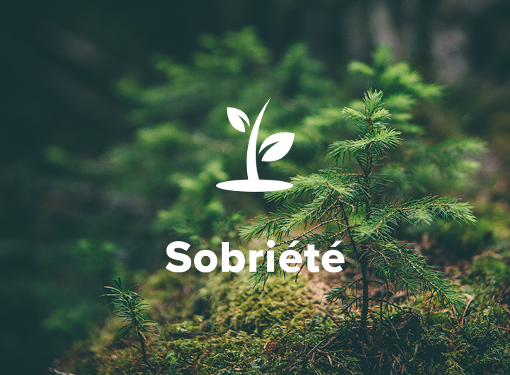 agence_gw's tweet photo. Automatiser l'éco-conception IT et l'éco-conception des outils de communication.
L'Agence GW opte pour des #technologies respectueuses de l'environnement. Nos démarches dans la #création, le #développement , le #déploiement de solutions digitales se fait de façon réfléchie. https://t.co/Zb2zmQVXkd