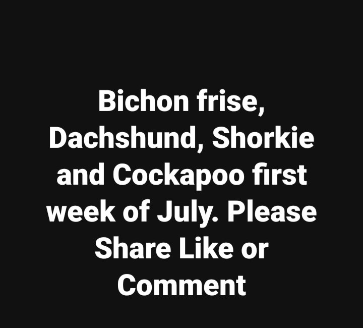 313 736 7074