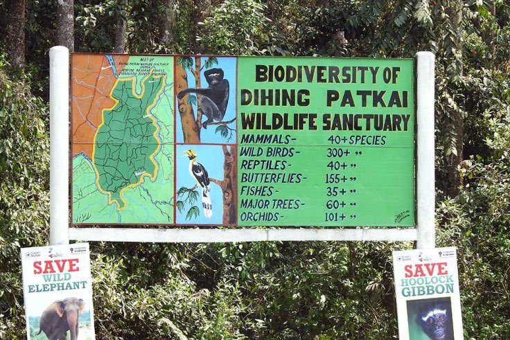 drumstanmay's tweet photo. The National Board for Wildlife's recommendation for coal mining in Assam's #DehingPatkai elephant reserve is a serious threat to it's biodiversity. This beautiful rainforest must be saved. It's high time we get serious about nature and be aware, for a better and brighter future! https://t.co/haXAeYWemg