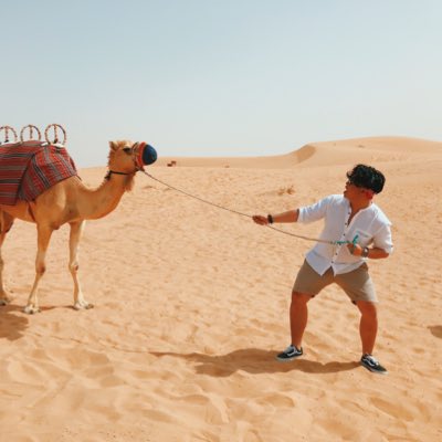 William Pirono tweet media