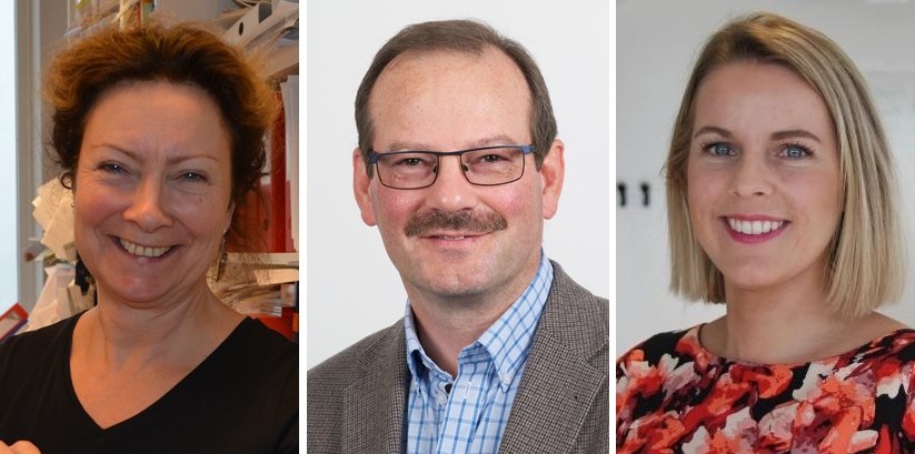 Titan (@unioslo_titan) on Twitter photo Hvordan blir jobbhverdagen etter koronakrisen? Les hva Tone Bratteteig og Viktoria Stray fra @UniOslo_IFI og Knut Inge Fostervold fra <a href="/Psykologiskinst/">UiO - Psykologisk Institutt</a> sier: titan.uio.no/teknologi-koro…
<a href="/tonebratt/">Tone Bratteteig</a> @drsmidig <a href="/nilsbm/">Nils Brede Moe</a> <a href="/Arbeidslivet/">Arbeidslivet.no</a> #koronanorge #digitalisering Hvordan blir jobbhverdagen etter koronakrisen? Les hva Tone Bratteteig og Viktoria Stray fra @UniOslo_IFI og Knut Inge Fostervold fra <a href="/Psykologiskinst/">UiO - Psykologisk Institutt</a> sier: titan.uio.no/teknologi-koro…
<a href="/tonebratt/">Tone Bratteteig</a> @drsmidig <a href="/nilsbm/">Nils Brede Moe</a> <a href="/Arbeidslivet/">Arbeidslivet.no</a> #koronanorge #digitalisering