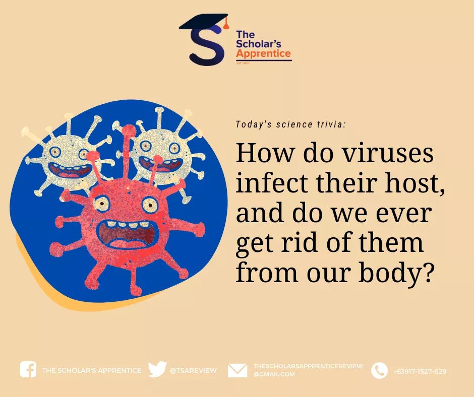 TSAReview's tweet photo. What are viruses?

Read more here:
https://t.co/PMSv1K6R1g

#science #virus #SARSCoV2 #COVID19 https://t.co/GSeaxXSpx3