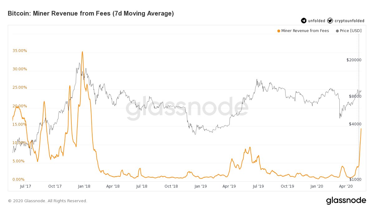 Bitcoin Whale Empties 143 Million Wallet For just 0.30