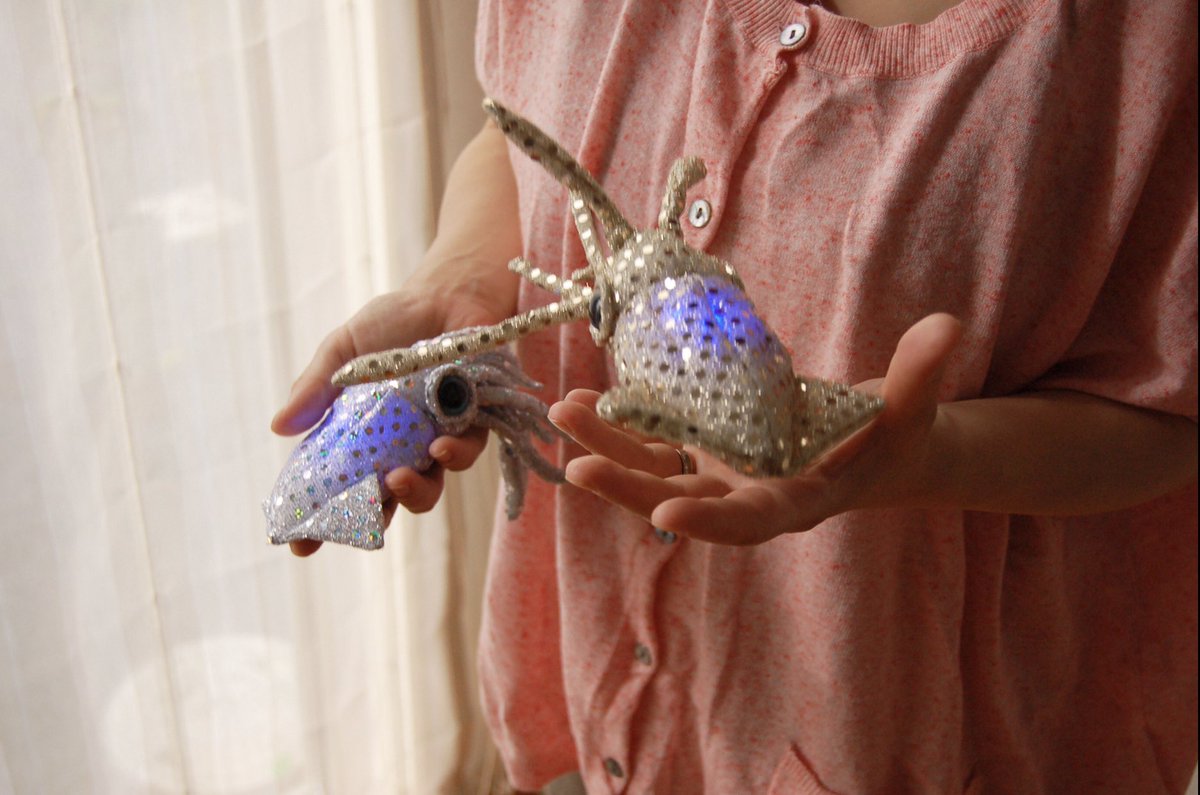 あなたのキラキラした作品が見たい 光るダイオードイカ せこなおのイラスト