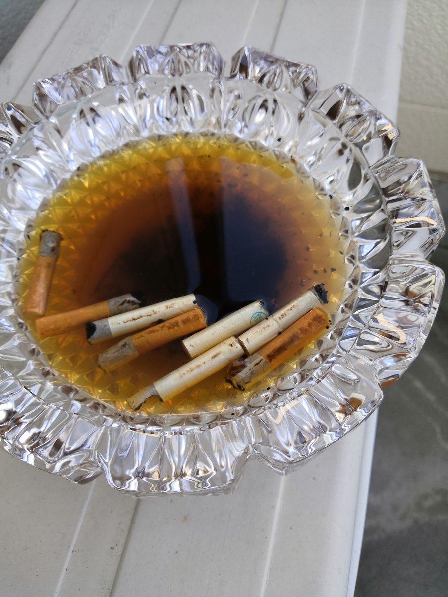 ミーボー ベランダの灰皿にコーヒー溜まってた