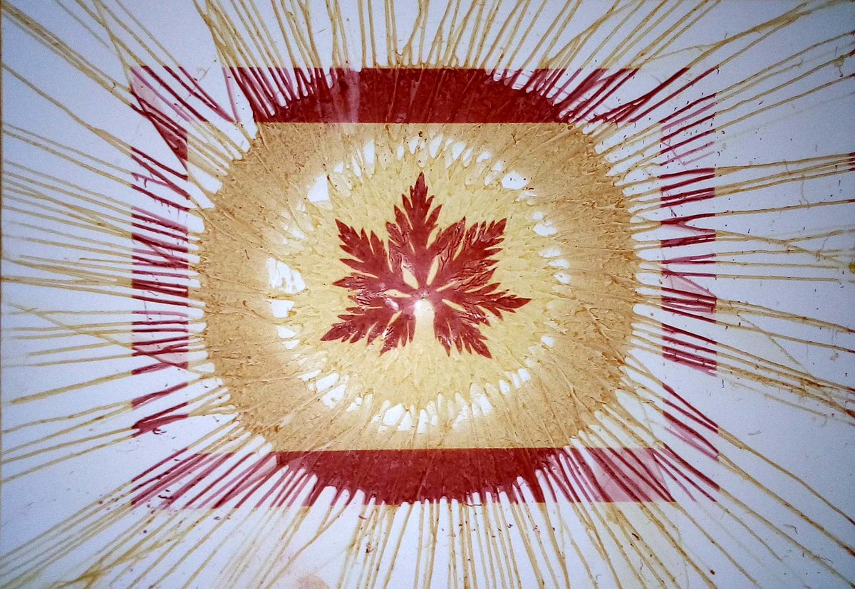 justin_quinnell's tweet photo. Turmeric and vodka Anthotype image. Inkjet paper messily coated with a spinning power drill!
#anthotype
#spinart
#alternativephotography
#lockdownphotography
#lockdownfun
#chelseaflowershow
#plantphotography
#mnhp
@falmouth_ba_photography
@MNHPFalmouth
@iop_falmouth
#trees
#ouzo https://t.co/hj0XrvHxJY